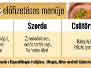 A Központi Konyha jövő heti előfizetéses menüje….