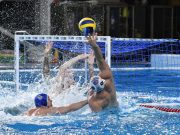 Beszámoló és értékelések az E.ON Férfi Vízilabda OB I. alapszakaszának ma esti…