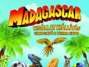 Élményekkel teli órák. Állatsimogató és ingyenes fotó az állatokkal…