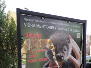 Erős emberek éjszakája…