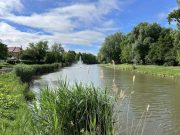 Folytatódik a Kurca part rendezése…