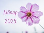 Kedves Hölgyeink!…