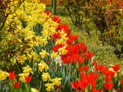 Lakossági felhívás…