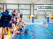 Szerda este 19 órától megkezdődik a MOL Női Vízilabda OB I. rájátszása, a köszé…