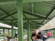 14. Zöld böjt program…