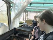 18. Zöld böjt program a Zsoldosban…