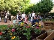 A G\u00f3ly\u00e1s h\u00e1zba szervezett h\u00fasv\u00e9ti mulats\u00e1got Nagyp…