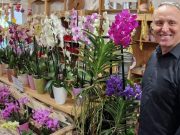 A virágkultúrára van igény, vallják immár negyedszázada a Holdvirág Virágüzletbe…