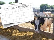 Az ország összes állattartó telepén naplózni kell mostantól a ki- és belépő embe…