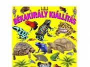 Kedves Látogatòink!…