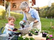 Kedves Nagymamák!…