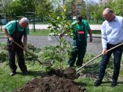 Két fa, két üzenet – Emlékezés és üzenet a jövőnek a Millenniumi Parkban…
