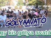 Kreaday Zsoldos 1\/9.B K\u0151m\u0171vesek\n\nIskol\u00e1nk di\u00e1kjai elindul…