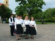 Megszűnőben a Zöldág Hagyományőrző Szakkör…