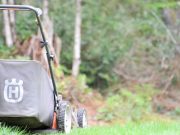 Ne nyírjuk a füvet, hagyjunk életteret és táplálékot a beporzó rovaroknak!…