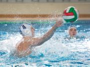 Új belépő Simon Bojó üdv az OBI-ben…