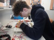 Változatos programok a Pollák-napon VI….