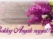 A hozzászólás lehetőségét kikapcsolták ennél a bejegyzésnél….