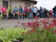 Elkezdődött a Nagymamák tavasza…