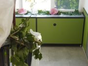 Ballagás a Pollákban ragyogó napsütésben!…