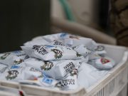 Készül a víz – készül a csapat!…