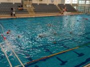 Kövessétek a meccseket élőben Élő stream…