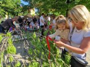 Májusfával és vidám programokkal köszöntötték a tavaszt Szentesen…