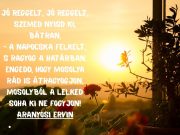 A hozzászólás lehetőségét kikapcsolták ennél a bejegyzésnél….