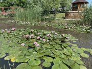 A 9.A nyár-köszöntő osztálykirándulása…