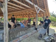 A HSZC Szentesi Zsoldos Ferenc Technikum 10. évfolyamos kőműves tanulói a „Zöld …