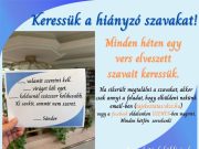 A hozzászólás lehetőségét kikapcsolták ennél a bejegyzésnél….