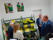 Boltot nyitott, homlokzatot újított a Bartha…