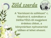 Érdekes olvasnivaló a ma megjelent folyóiratban….