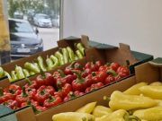 Ha nyár, akkor lecsó!…