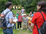 Mókus sétányt avattak a Széchenyi ligetben – természetvédelem és vendégszeretet …