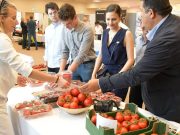 Szakmai nap a DélKerTÉSZ paradicsomjával…