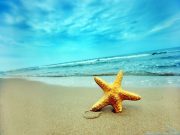 Szentesi Művelődési Központ megváltoztatta a borítóképét….