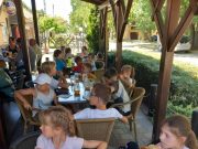 Zsoldos pályafelfedező nyári tábor 3. nap…