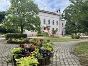 Ami szép, az vihar után is szép…