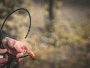 A szikra már meggyulladt… Most rajtad a sor, hogy utat törj!…