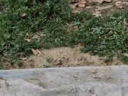 Gerilla Csúszda a felező bulin! – Kipróbálnád? (videó)…