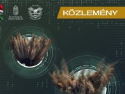 LAKOSSÁGI TÁJÉKOZTATÁS…