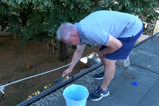 \ud83c\udfa4 Nem adom fel\u203c\ufe0f Furcsa hobbit \u0171z a poll\u00e1kos tan\…