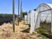 „Sajnos hamarabb kellettek a tűzcsapok, mint hittük” – nagy riadalom a Nagypaté …