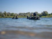 Hűsítő merülés!…