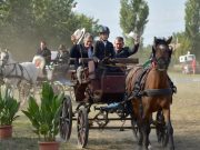 Látvány és izgalom, remek hangulat és igazi szentesi vendégszeretet. Immár 14. a…