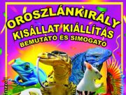 Mindenkit szeretettel várunk kisállat kiállításra!…