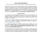 PÁLYÁZATI FELHÍVÁS…