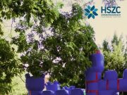 Hello, SZENTES – október 4-én érkezik a SKILLFEST, a régió legnagyobb pályaorien…