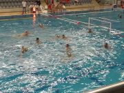 Dima nem tud hibázni…